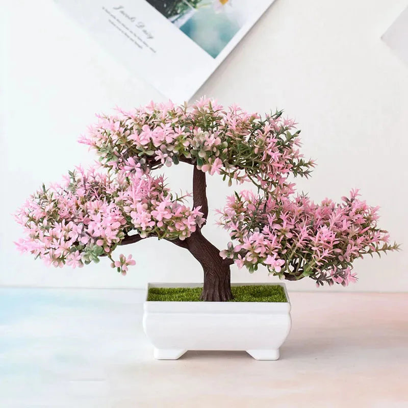 Bonsai Plants