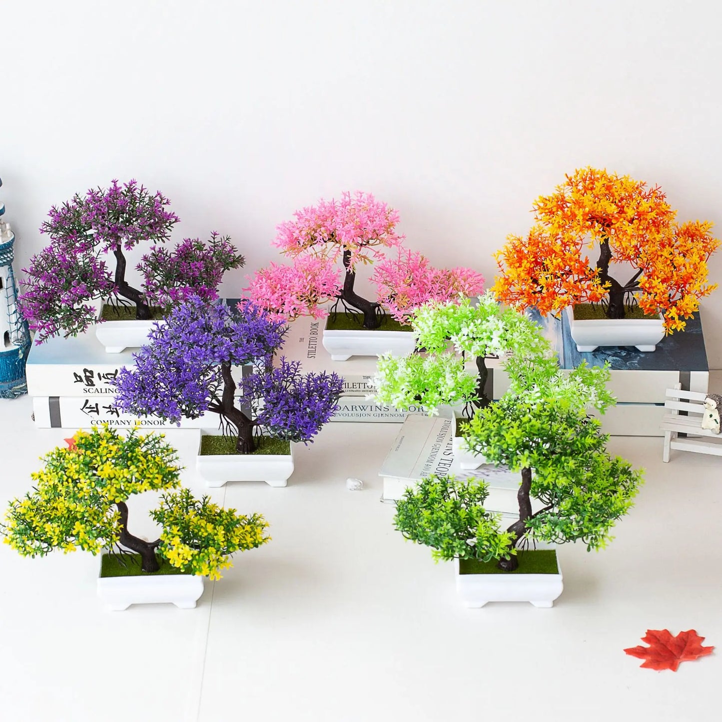 Bonsai Plants